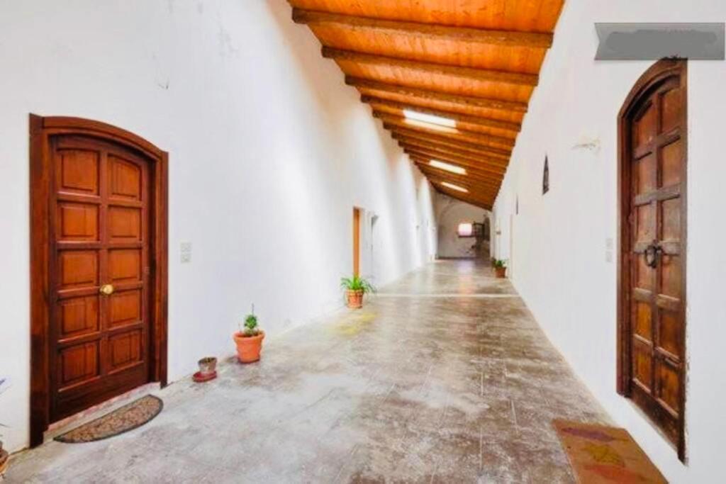 Wonderful In Old Alghero